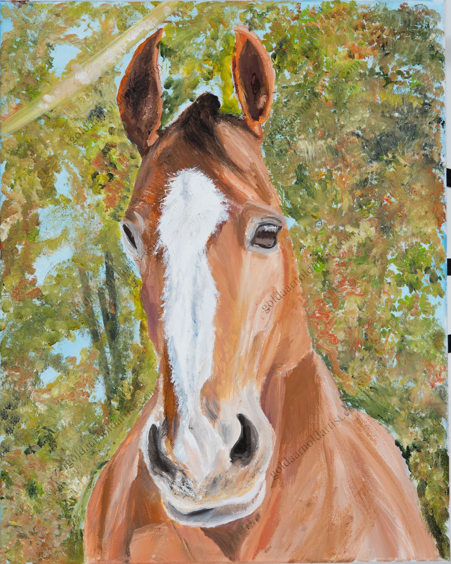 Horse Selfie - Original