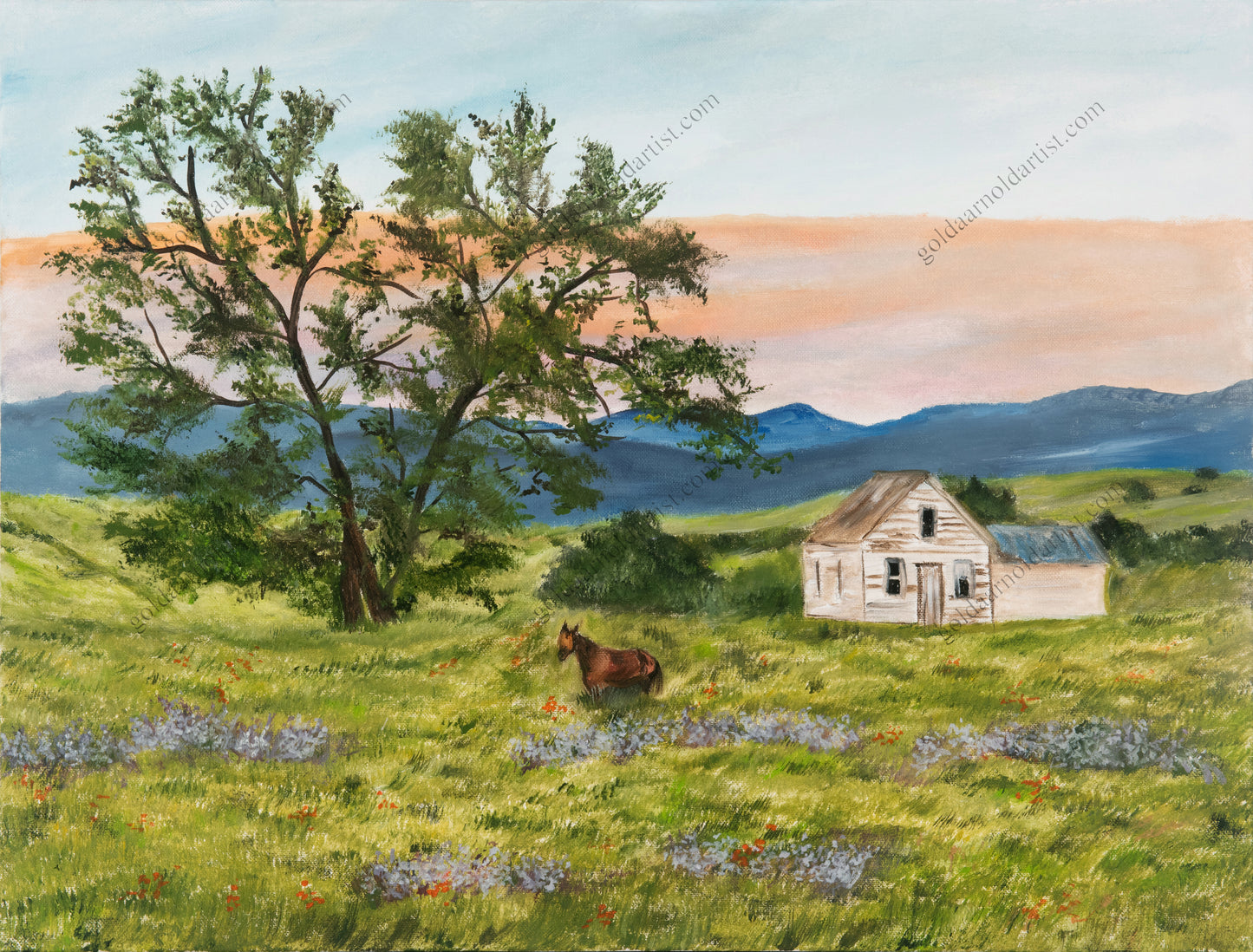 Country Sunset - Original