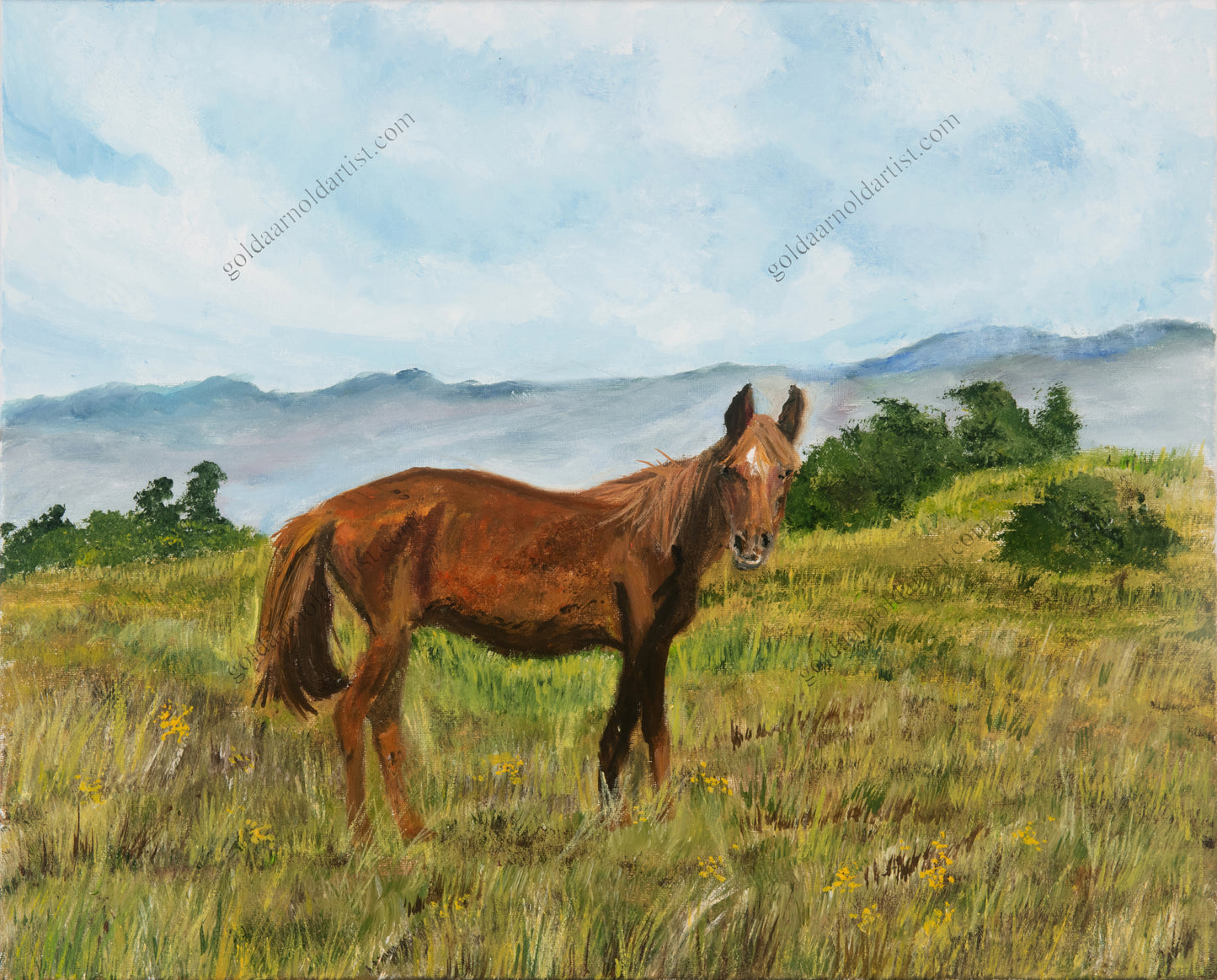 High Horse - Original
