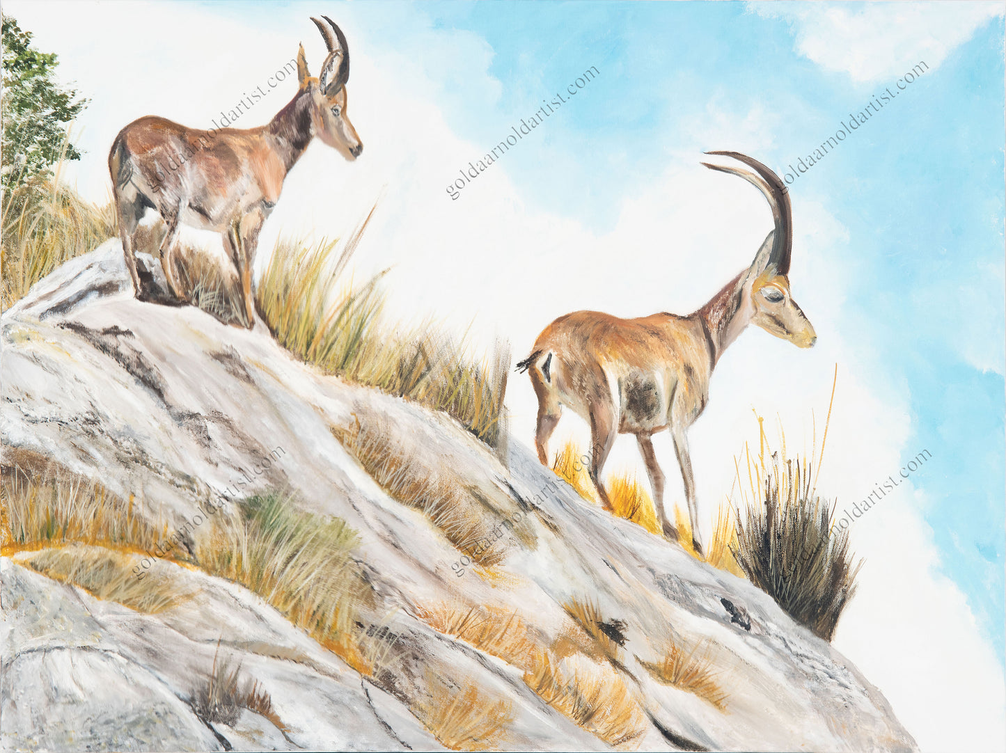 Rugged Terrain - Original