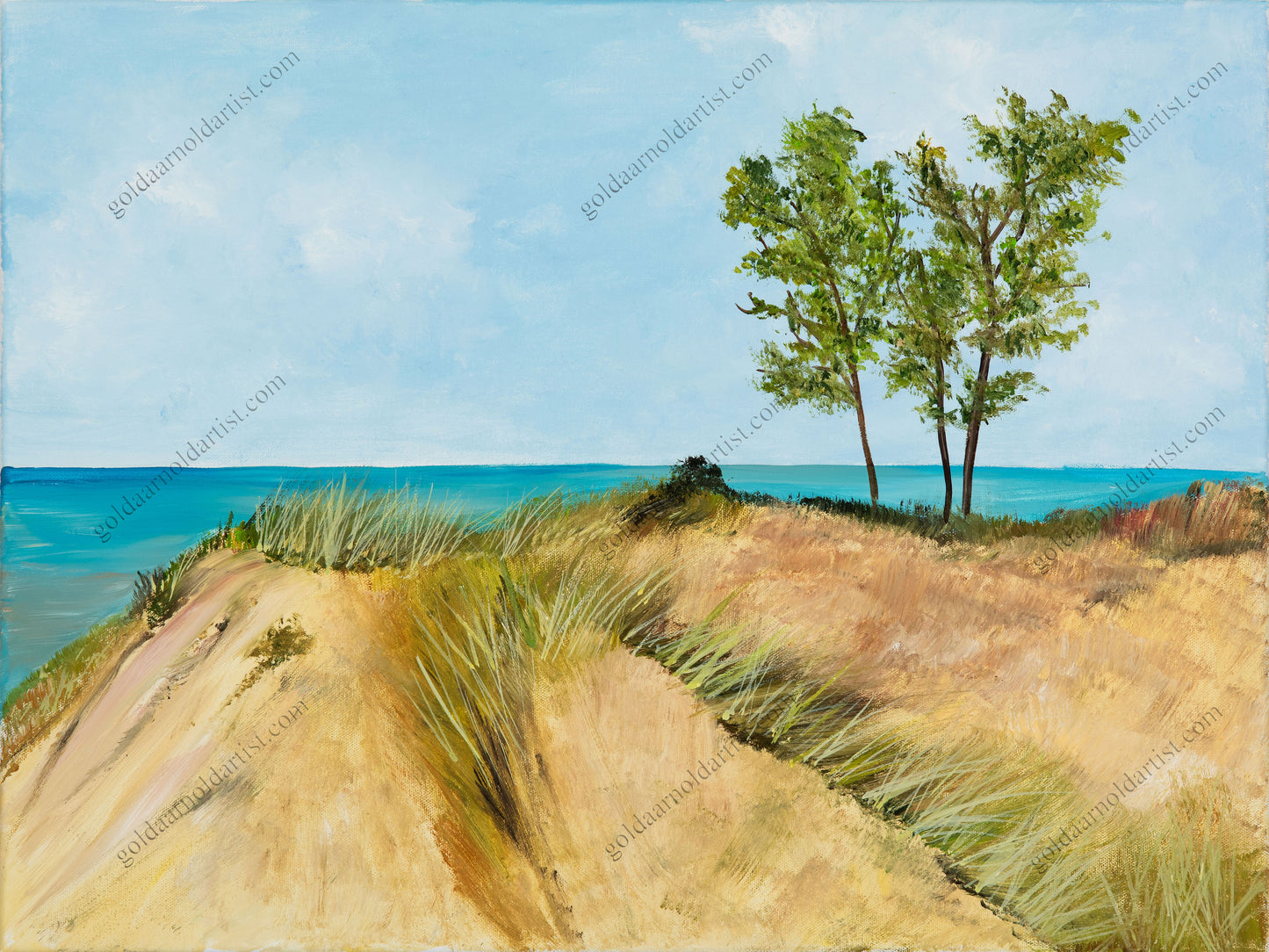 Sandy Shores - Original